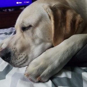 Meet your Posher, Chris